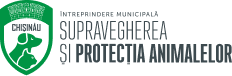 logo_head